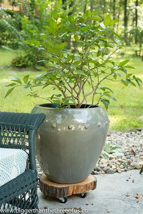 Diy Plant Stands To Fill Your Home With Greenery