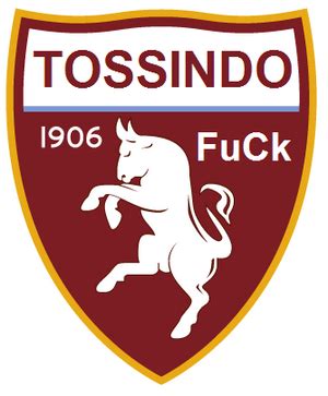 Torino Football Club Desciclop Dia