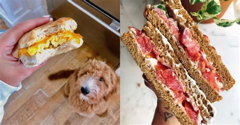 6 Recetas De Sándwiches Que Te Ayudarán A Resolver El Desayuno Y La Cena