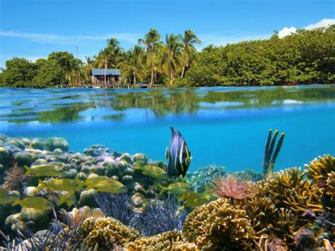 5 Lieux Touristiques À Bocas Del Toro