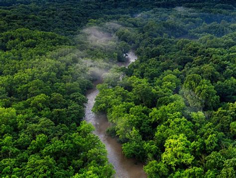 mission statement amazonia fund alliance program