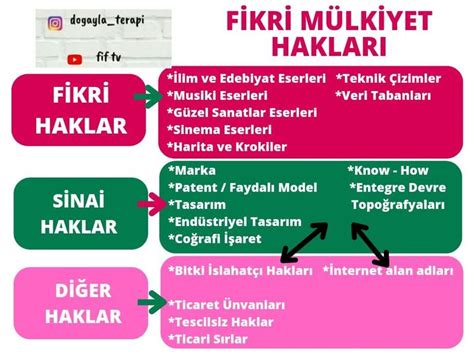 Fikri Mülkiyet Hakları Nelerdir