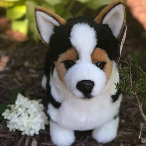 Tri Colored Corgi Plush Puppy Dog Stuffed Animal Etsy In 2021 Corgi