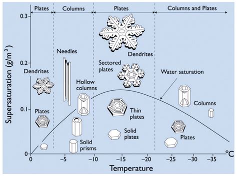 Snowflakes come in 35 different shapes. And some of them are really odd ...