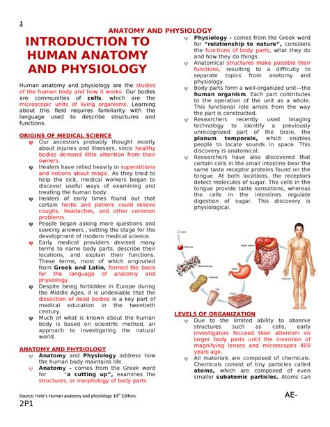 Anaphy Ch1 Introduction To Anatomy And Physiology Anatomy And