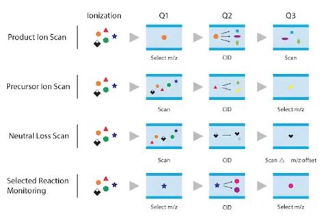 Liquid Chromatography Mass Spectrometry Lc Ms Ms Analysis Northeast