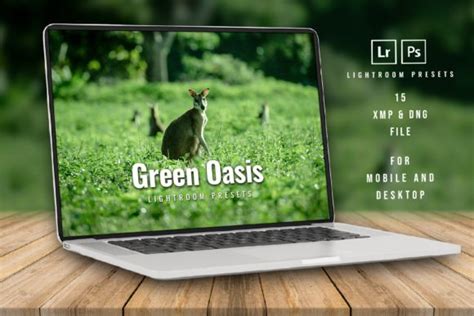 Green Oasis Lightroom Preset Graphic By Zhidayat Creative Fabrica