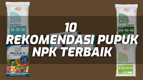 Rekomendasi Pupuk Npk Terbaik Edu Svet Gob Gt