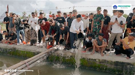 Sekda Adi Arnawa Buka Lomba Mancing Yowana Griya Dalem Sibanggede YouTube