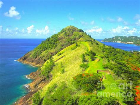 Stlucia Gorilla Rock By Gregory Dyer Gorilla Rock Painted Rocks