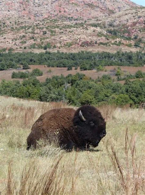 Wichita Mountains Scenic Byway in Oklahoma: A Beautiful Drive [Map ...