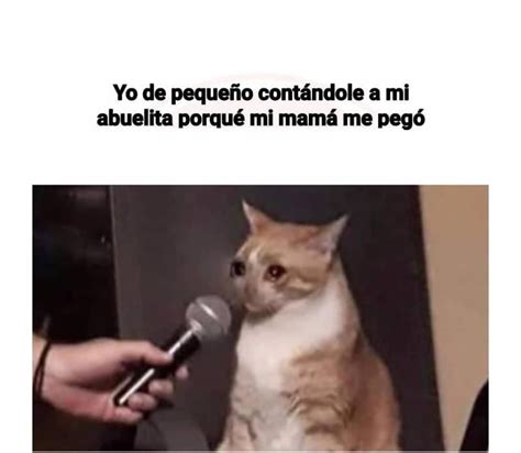 Meme Gato Llorando Microfono El Meme Se Adapta A Todo Tipo De Contexto Como El Amor Las