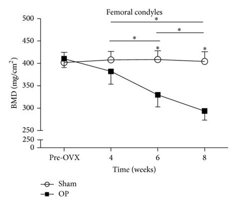 BMD Values Of The Lumbar Vertebrae And Femoral Condyles A BMD Values