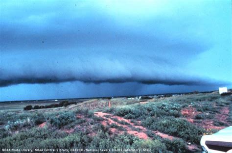 Curious Clouds | Polar Clouds & Stratosphere | Wild Weather | Live Science