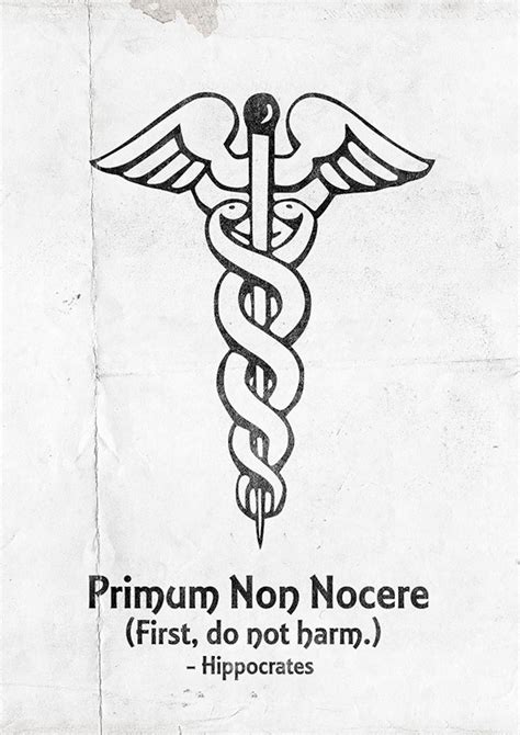 Primum Non Nocere First Do Not Harm Hippocrates Wall Art Etsy