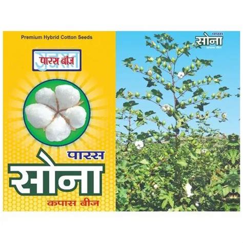 Paras Beej Sona Paras Hybrid Cotton Seeds For Agriculture At Best