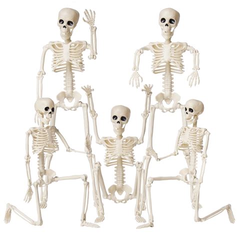 Buy Halloween Skeletons Decorations 16 Posable Plastic Skeleton 5