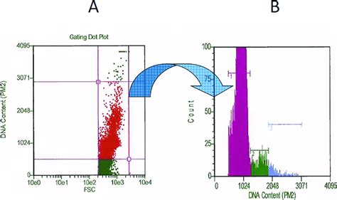 Cell Cycle Assay Pbmc Were Separated From Venous Blood Of Two Dairy