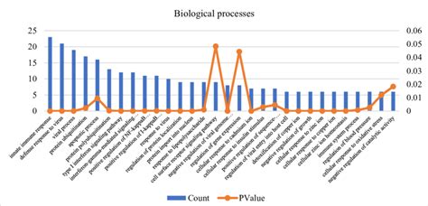 Go Terms Enrichment Analysis Of Degs In Biological Processes Download