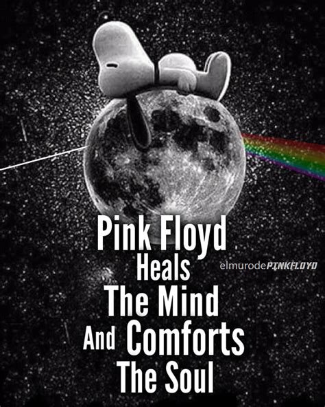 Comfortably Numb Wallpapers Wallpaper Cave