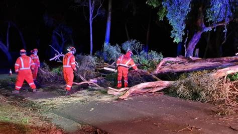 Melbourne Weather Ses Calls For Help Soar As Wild Winds Batter