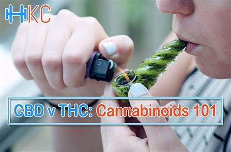 Cbd V Thc Cannabinoids 101 Cbd Guides Health Kart Club