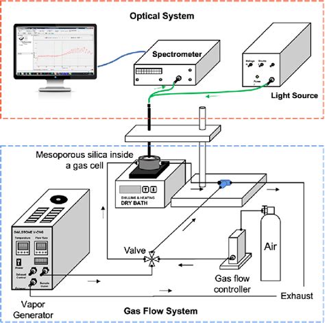 Schematic Diagram Of The Experimental Setup For The In Situ Sorption