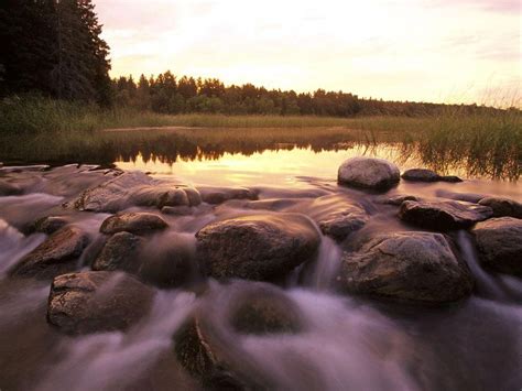 At Lake Itasca In Minnesota The Mississippi River Begins Its Flow