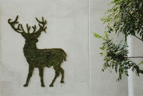 Growing Graffiti – Moss Art Unleashed | CFLAS