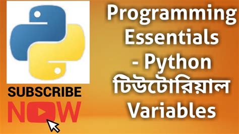 Programming Essentials Python Bangla Tutorial Variables YouTube