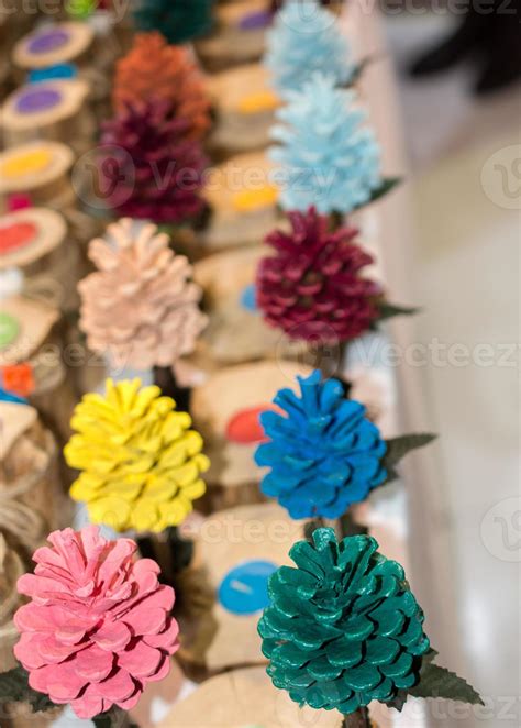 Colorful pine cones of the pine tree 14519800 Stock Photo at Vecteezy