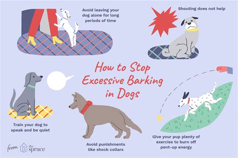 Reasons Why Dogs Bark Excessively And How To Stop It