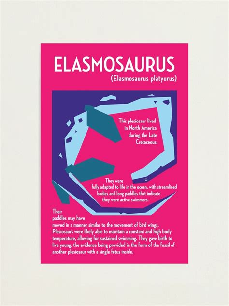 Elasmosaurus Infographic Poster Photographic Print For Sale By