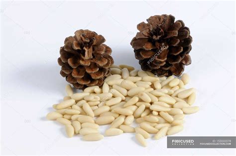 Pine nuts and cones — clean eating, eco - Stock Photo | #153032078