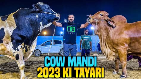 Cow Mandi 2023 Ki Tayarian Full Heavy Janwar Agae YouTube