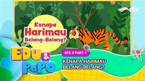 Edu Papo Rtv Kenapa Harimau Belang Belang Eps Part Youtube