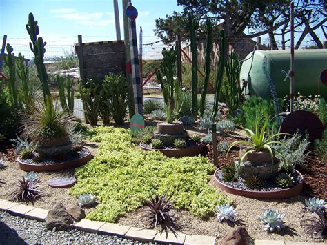 succulent plants ground cover 10