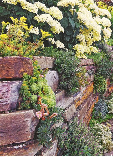 Cascading Plants For Rock Walls