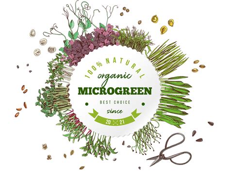 Microgreens Label Template Microgreens Custom Labels For Etsy