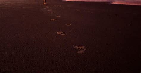 Silhouette Photography of Person Walking Beside Beach · Free Stock Photo