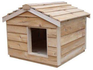 5 Best Outdoor Insulated Cat Houses | Outdoor Cat Houses