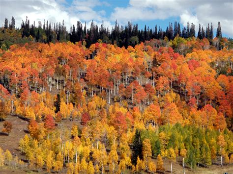 10 Top Spots For Utahs Fall Colors Shawn Miller