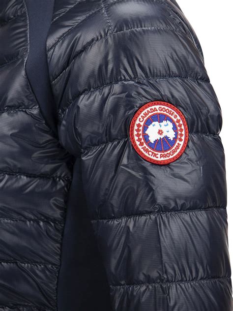 Kurze Daunenjacken Canada Goose Daunenjacke Blau 2714L63 THEBS