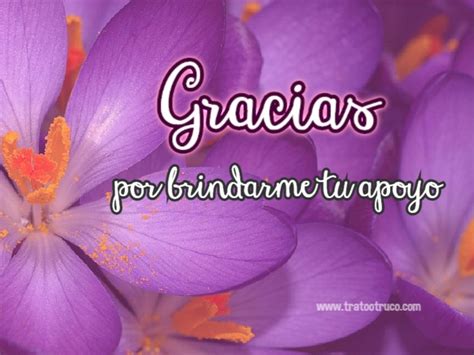 Gracias por el apoyo, imágenes con frases | Trato o truco