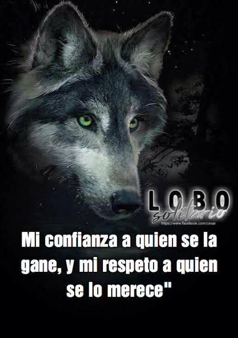 Frases De Lobo Solit Rio Mejores Im Genes De Frases Lobo