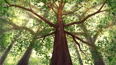 Light Through The Canopy Digital Painting Time Lapse YouTube