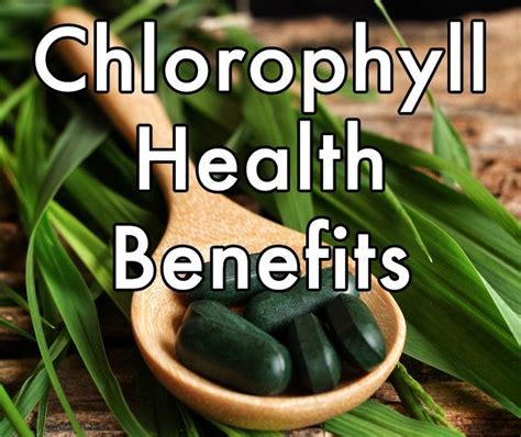 Chlorophyll Health Benefits - Healthy Focus