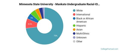 Minnesota State University Mankato Diversity Racial Demographics