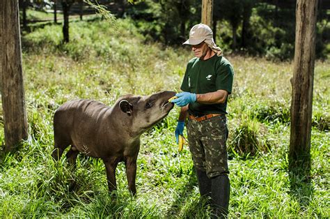 Parque Ecológico Klabin reabre melhorias e novo formato Distinção