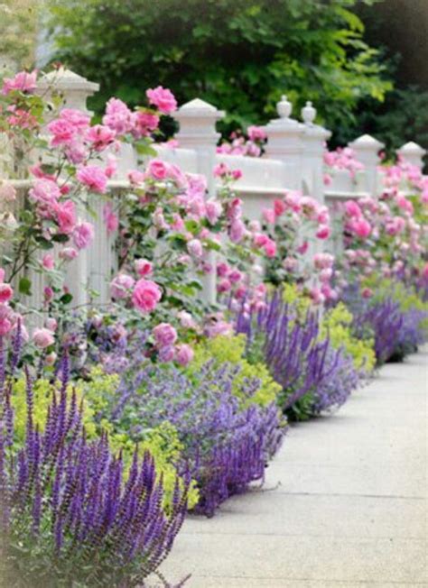 White Picket Fence W Climbing Roses House And Home Pinterest